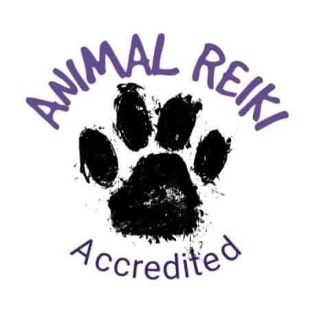 Animal Reiki Accredited